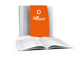 Broschüre Budget (Digitaldruck)